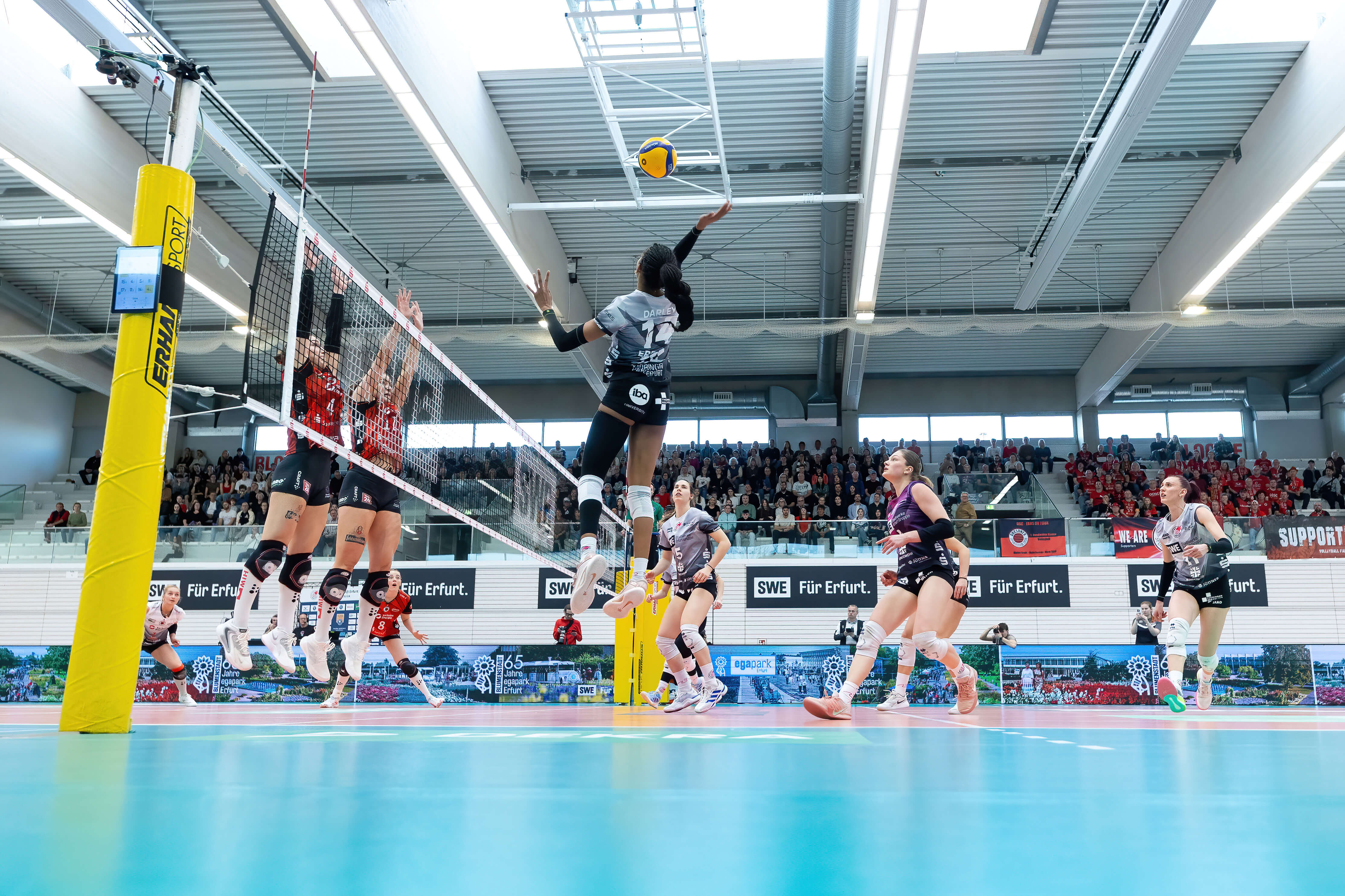 Volleyball.